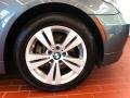 2010 BMW 5 Series 528i xDrive Sedan Wheel and Tire Photo