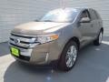 2013 Mineral Gray Metallic Ford Edge Limited  photo #6