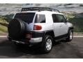 Titanium Metallic - FJ Cruiser 4WD Photo No. 3