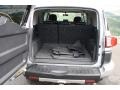 Titanium Metallic - FJ Cruiser 4WD Photo No. 17