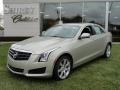 Silver Coast Metallic - ATS 2.5L Photo No. 1