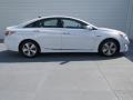 Porcelain White Pearl - Sonata Hybrid Photo No. 2