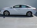 Porcelain White Pearl - Sonata Hybrid Photo No. 5