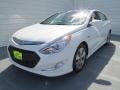 Porcelain White Pearl - Sonata Hybrid Photo No. 6