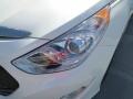 Porcelain White Pearl - Sonata Hybrid Photo No. 8