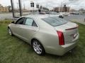 Silver Coast Metallic - ATS 2.5L Photo No. 7