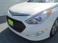 Porcelain White Pearl - Sonata Hybrid Photo No. 9