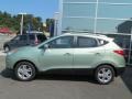 Kiwi Green - Tucson GLS AWD Photo No. 2