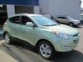 Kiwi Green - Tucson GLS AWD Photo No. 3
