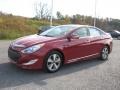 Venetian Red Pearl - Sonata Hybrid Photo No. 3