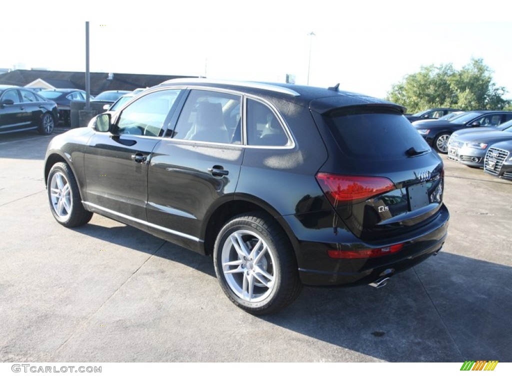 2013 Q5 2.0 TFSI quattro - Brilliant Black / Pistachio Beige photo #6