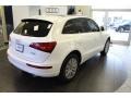 Arctic Silver Metallic - Q5 2.0 TFSI hybrid quattro Photo No. 4