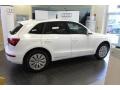 Arctic Silver Metallic - Q5 2.0 TFSI hybrid quattro Photo No. 5