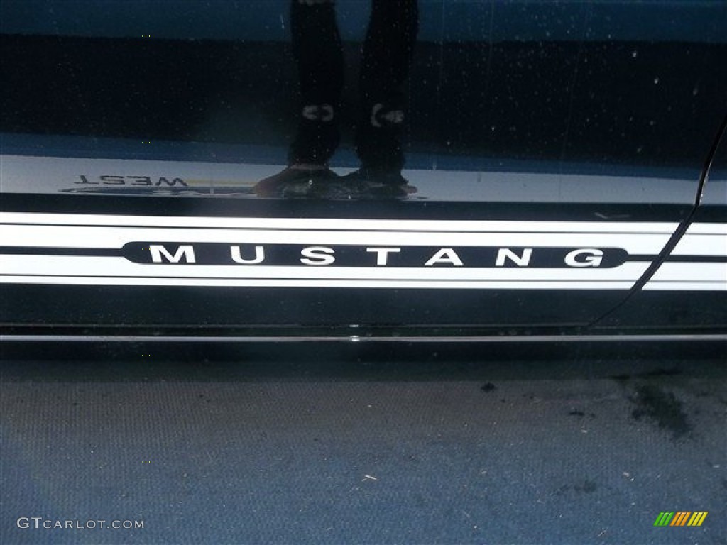2013 Mustang V6 Coupe - Black / Charcoal Black photo #14