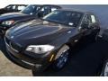 2013 Jet Black BMW 5 Series 528i Sedan  photo #9