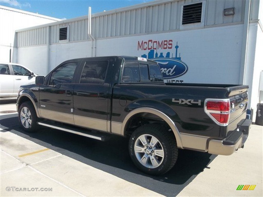 2013 F150 Lariat SuperCrew 4x4 - Green Gem Metallic / Adobe photo #3