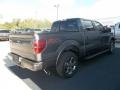 2013 Sterling Gray Metallic Ford F150 FX2 SuperCrew  photo #11