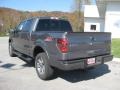 Sterling Gray Metallic - F150 FX4 SuperCrew 4x4 Photo No. 8