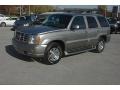 Silver Sand - Escalade AWD Photo No. 42