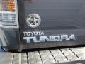 Magnetic Gray Metallic - Tundra Texas Edition Double Cab Photo No. 16