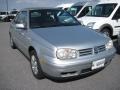 Reflex Silver Metallic - Cabrio GLX Photo No. 2