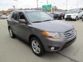 2010 Harbor Gray Metallic Hyundai Santa Fe SE  photo #10