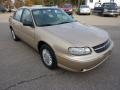 Light Driftwood Metallic 2001 Chevrolet Malibu Sedan Exterior