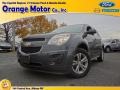 2010 Cyber Gray Metallic Chevrolet Equinox LS  photo #1