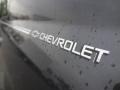 2010 Cyber Gray Metallic Chevrolet Equinox LS  photo #10