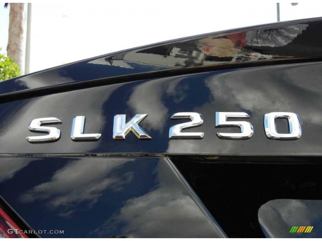 2013 Mercedes-Benz SLK 250 Roadster Marks and Logos Photo #72684960