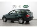 Highland Green Metallic - X5 3.0i Photo No. 5