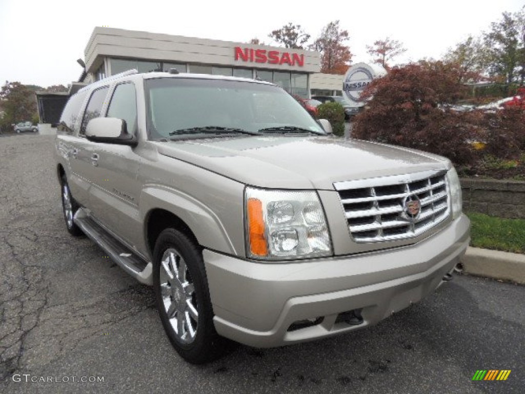 2004 Escalade ESV AWD Platinum Edition - Quicksilver / Shale photo #1