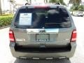 2010 Sterling Grey Metallic Ford Escape Limited V6  photo #7