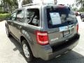 2010 Sterling Grey Metallic Ford Escape Limited V6  photo #9