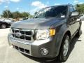 2010 Sterling Grey Metallic Ford Escape Limited V6  photo #14
