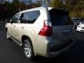 Satin Cashmere Metallic - GX 460 Photo No. 2