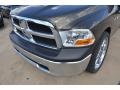 2012 Sagebrush Pearl Dodge Ram 1500 Express Crew Cab  photo #12