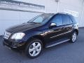 2010 Black Mercedes-Benz ML 350  photo #2