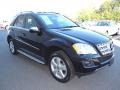 2010 Black Mercedes-Benz ML 350  photo #5