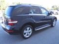 2010 Black Mercedes-Benz ML 350  photo #6
