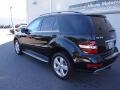 2010 Black Mercedes-Benz ML 350  photo #10