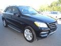 Black - ML 350 4Matic Photo No. 5