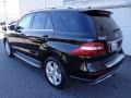 Black - ML 350 4Matic Photo No. 10