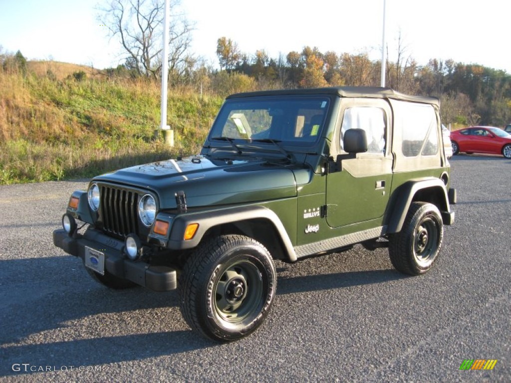 2004 Wrangler X 4x4 - Moss Green Pearlcoat / Dark Slate Gray photo #3