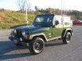 2004 Moss Green Pearlcoat Jeep Wrangler X 4x4  photo #3