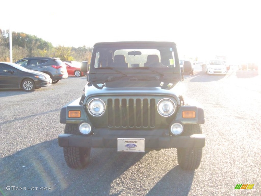 2004 Wrangler X 4x4 - Moss Green Pearlcoat / Dark Slate Gray photo #4