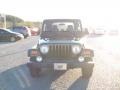 2004 Moss Green Pearlcoat Jeep Wrangler X 4x4  photo #4