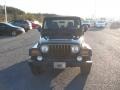 2004 Moss Green Pearlcoat Jeep Wrangler X 4x4  photo #5