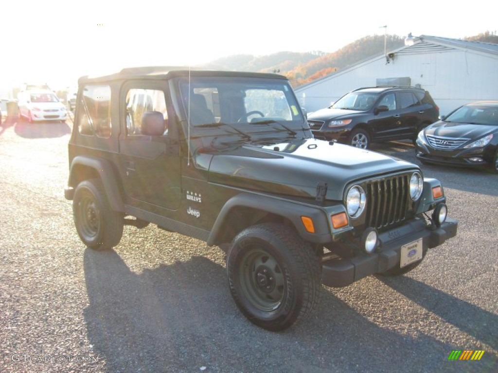 2004 Wrangler X 4x4 - Moss Green Pearlcoat / Dark Slate Gray photo #6
