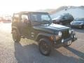 2004 Moss Green Pearlcoat Jeep Wrangler X 4x4  photo #6